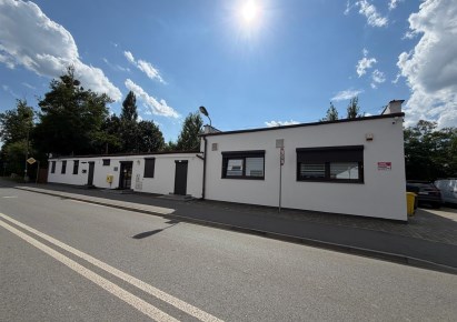 biurowiec na sprzedaż - Żory, Kleszczówka
